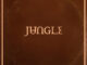 Jungle - Sunshine