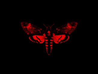 Lil Wayne - Love Me ft. Drake, Future