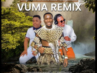 MENZI MUSIC - Vuma (Remix)