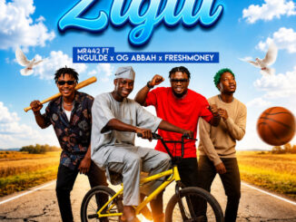 Mr442 - Zigiii ft. Freshmoney, OG Abbah, Ngulde