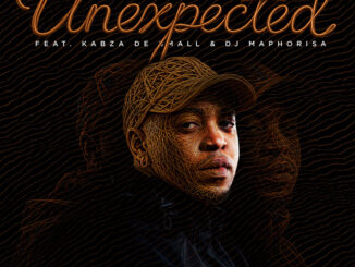 Stakev, Xduppy - Unexpected ft. Kabza De Small & DJ Maphorisa