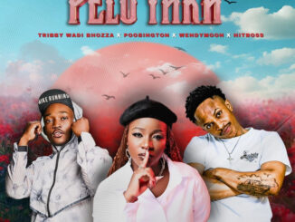 Tribby Wadi Bhozza - Pelo Yaka ft. Poobington, Wendy Moon & Hitboss SA