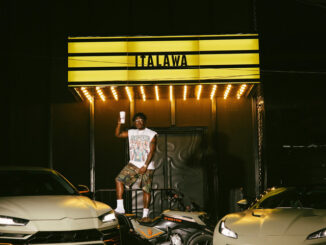 Zlatan - ITALAWA