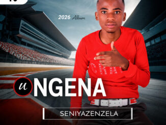 uNgena - Emabaleni